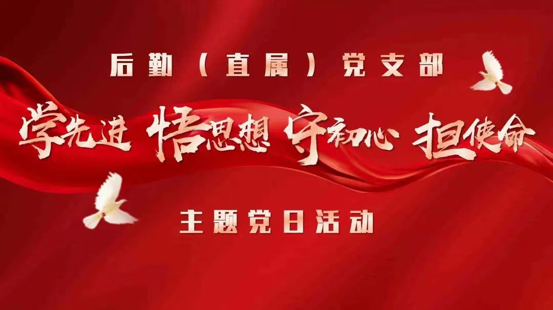 后勤（直属）党支部开展“学先进、悟思想、守初心、担使命”主题党日活动  